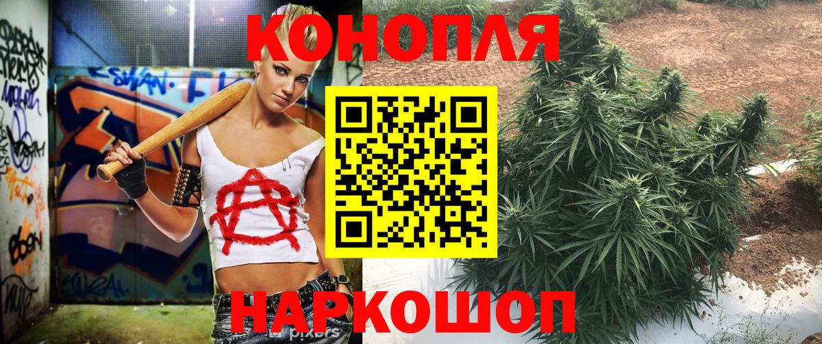 Конопля гибрид  МАРИХУАНА семена  Вход с VPN  Каннабис VHQ  Конопля Bruce Banner  Елабуга 